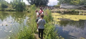 Miercuri – În mijlocul naturii Miercuri – În mijlocul naturii